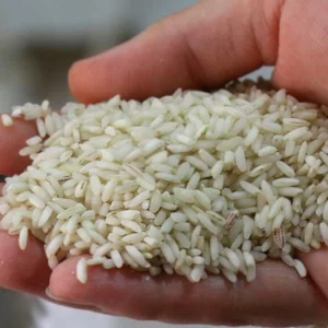 صادرات برنج ایرانی به عراق 
