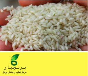 خرید برنج ایرانی ممتاز