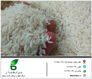 قیمت برنج طارم هاشمی کاسپین