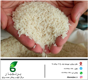 قیمت برنج هاشمی ۱۴۰۲