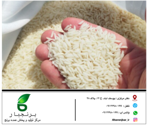 قیمت فروش برنج شمال در تهران