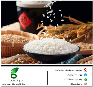 خرید برنج هاشمی آستانه اشرفیه