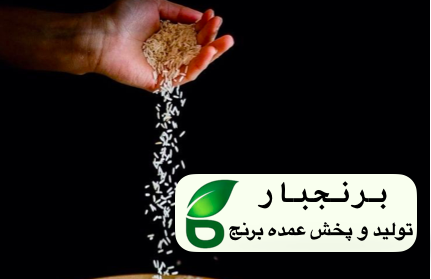 خرید و قیمت عمده برنج نیم دانه